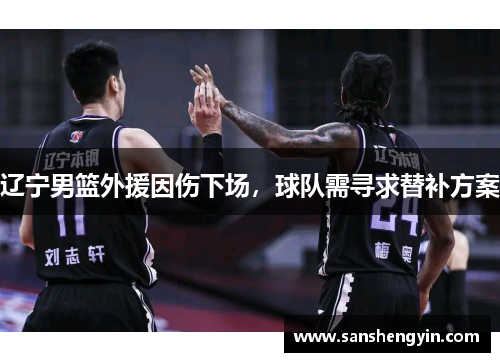 辽宁男篮外援因伤下场，球队需寻求替补方案