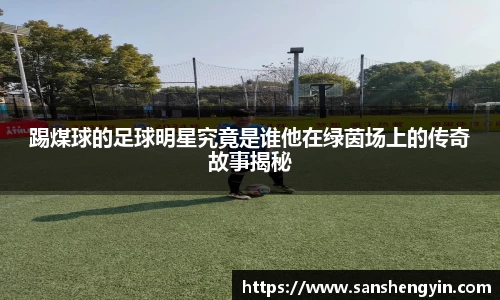 踢煤球的足球明星究竟是谁他在绿茵场上的传奇故事揭秘